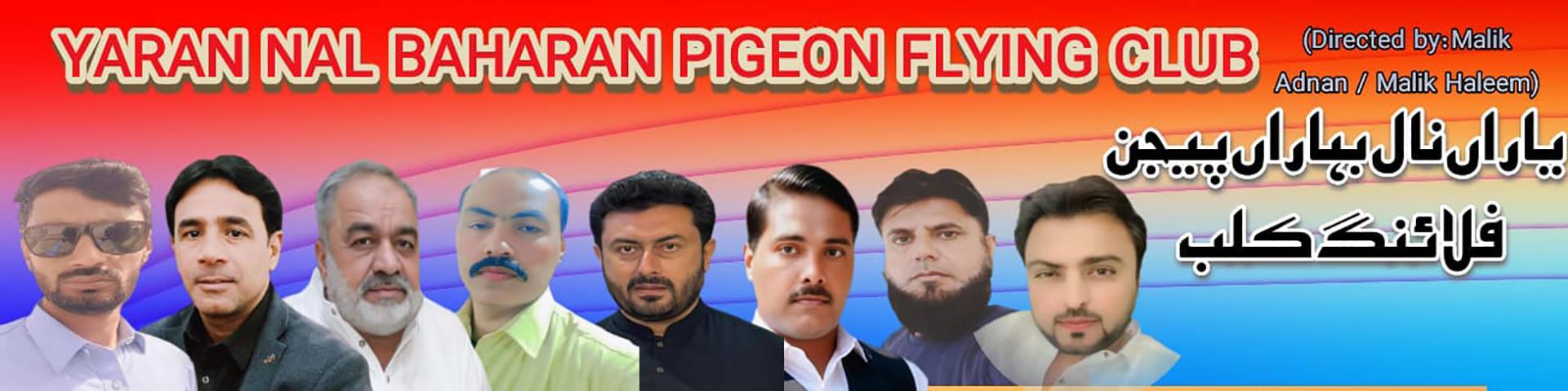 یاراں نال بہارا بےبی پیجن فلائنگ ٹورنامنٹ